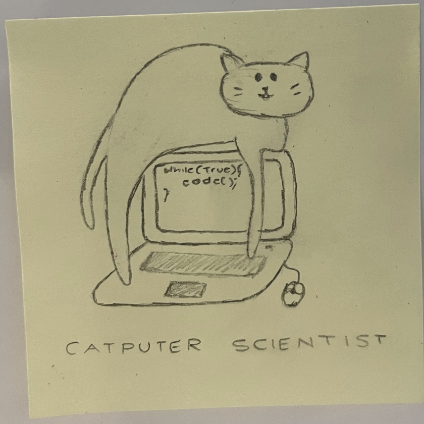 catputer scientist